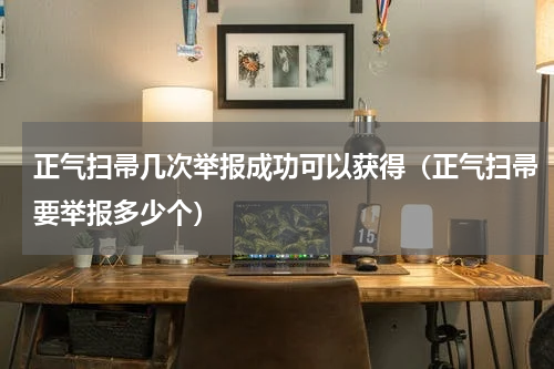 正气扫帚几次举报成功可以获得（正气扫帚要举报多少个）
