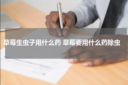 草莓生虫子用什么药 草莓要用什么药除虫