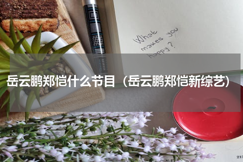 岳云鹏郑恺什么节目（岳云鹏郑恺新综艺）