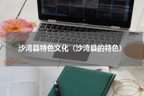 沙湾县特色文化（沙湾县的特色）