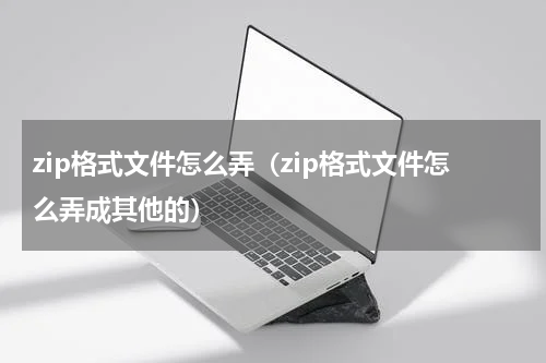 zip格式文件怎么弄（zip格式文件怎么弄成其他的）