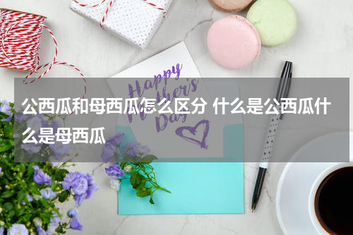 公西瓜和母西瓜怎么区分 什么是公西瓜什么是母西瓜