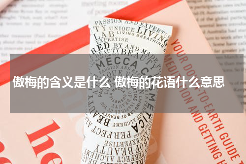 傲梅的含义是什么 傲梅的花语什么意思