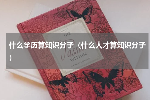 什么学历算知识分子（什么人才算知识分子）