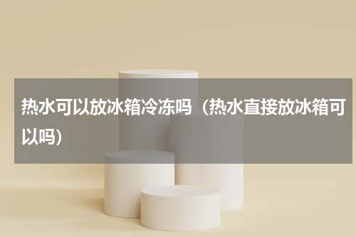 热水可以放冰箱冷冻吗（热水直接放冰箱可以吗）