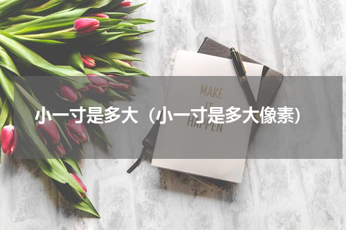 小一寸是多大（小一寸是多大像素）