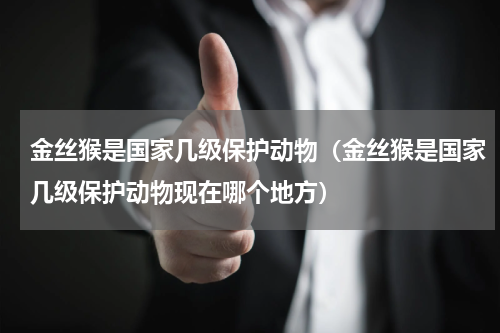 金丝猴是国家几级保护动物（金丝猴是国家几级保护动物现在哪个地方）