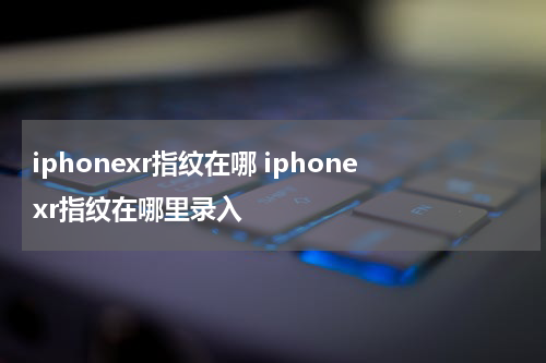 iphonexr指纹在哪 iphonexr指纹在哪里录入