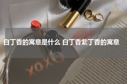白丁香的寓意是什么 白丁香紫丁香的寓意