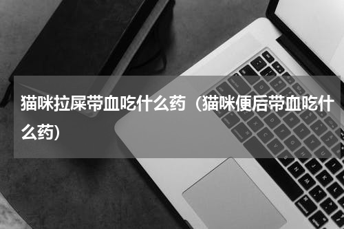 猫咪拉屎带血吃什么药（猫咪便后带血吃什么药）