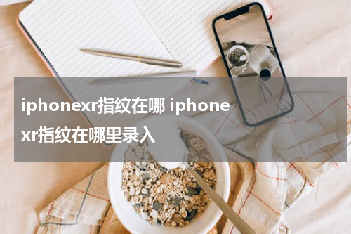 iphonexr指纹在哪 iphonexr指纹在哪里录入