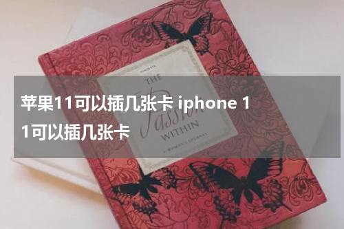 苹果11可以插几张卡 iphone 11可以插几张卡