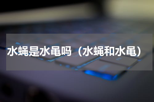 水蝇是水黾吗（水蝇和水黾）