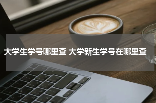 大学生学号哪里查 大学新生学号在哪里查