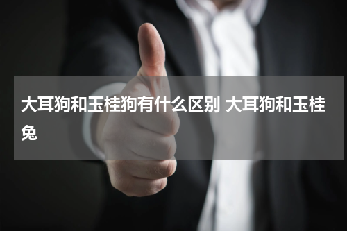大耳狗和玉桂狗有什么区别 大耳狗和玉桂兔