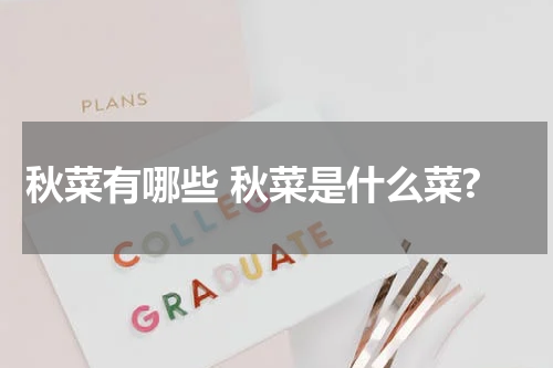 秋菜有哪些 秋菜是什么菜?