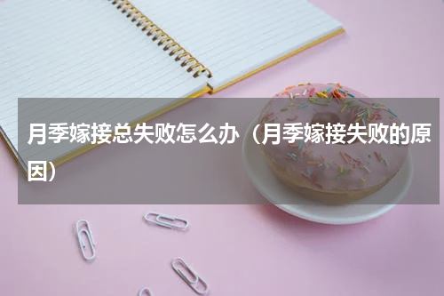 月季嫁接总失败怎么办（月季嫁接失败的原因）