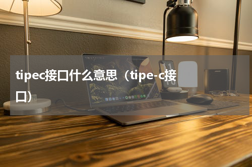 tipec接口什么意思（tipe-c接口）