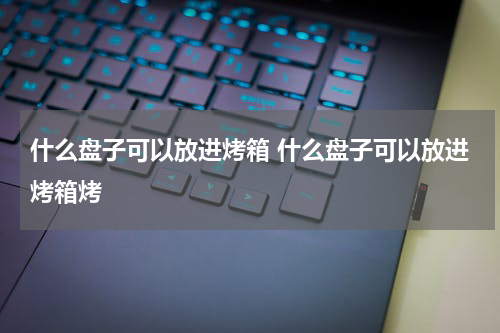 什么盘子可以放进烤箱 什么盘子可以放进烤箱烤