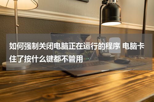 如何强制关闭电脑正在运行的程序 电脑卡住了按什么键都不管用