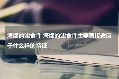 海绵的滤食性 海绵的滤食性主要直接适应于什么样的特征