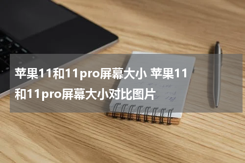 苹果11和11pro屏幕大小 苹果11和11pro屏幕大小对比图片