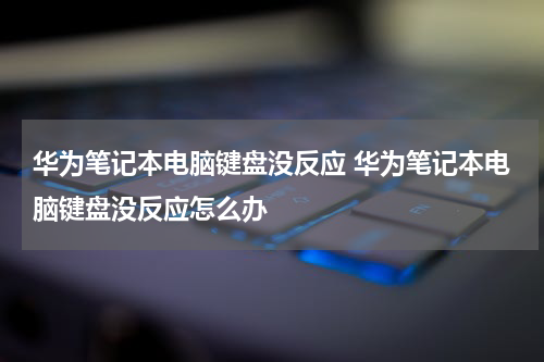 华为笔记本电脑键盘没反应 华为笔记本电脑键盘没反应怎么办