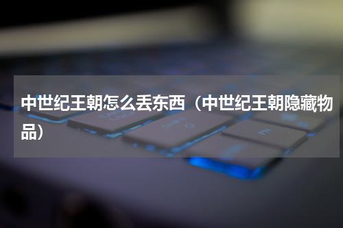 中世纪王朝怎么丢东西（中世纪王朝隐藏物品）
