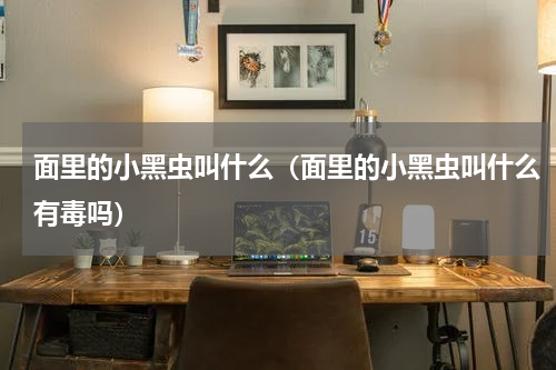 面里的小黑虫叫什么（面里的小黑虫叫什么有毒吗）