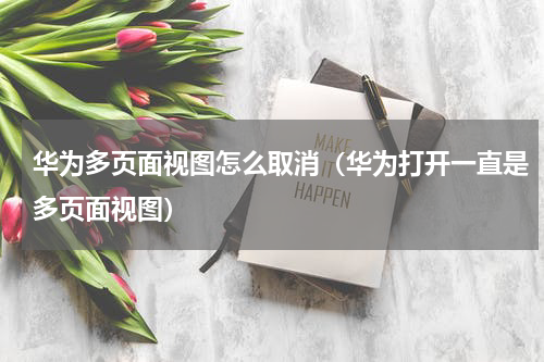 华为多页面视图怎么取消（华为打开一直是多页面视图）