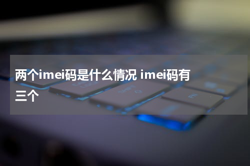两个imei码是什么情况 imei码有三个