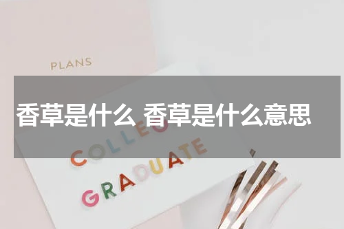 香草是什么 香草是什么意思