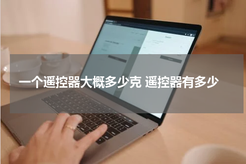 一个遥控器大概多少克 遥控器有多少