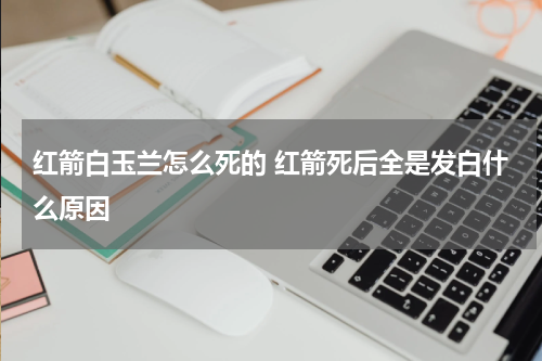 红箭白玉兰怎么死的 红箭死后全是发白什么原因