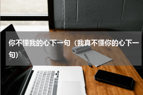 你不懂我的心假装冷静下一联是啥