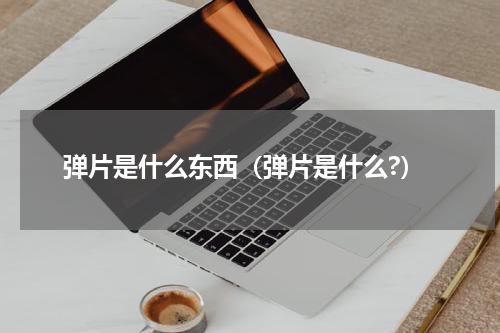 弹片是什么东西（弹片是什么?）
