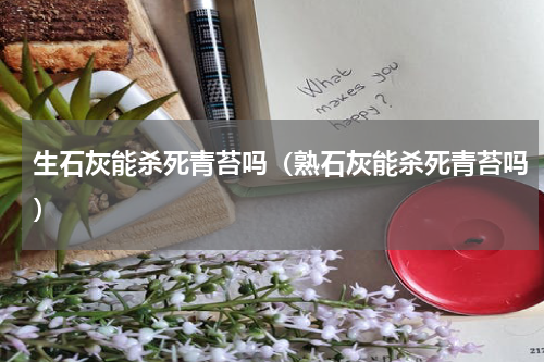 生石灰能杀死青苔吗（熟石灰能杀死青苔吗）