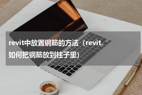 revit中放置钢筋的方法（revit如何把钢筋放到柱子里）