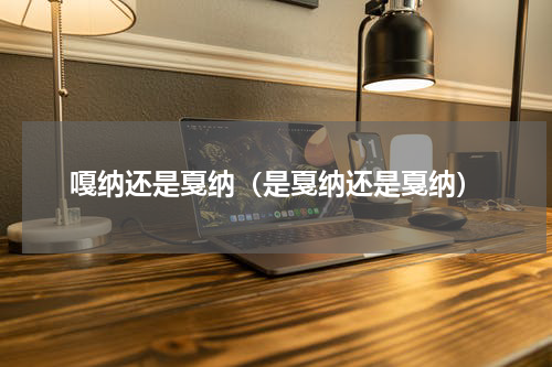 嘎纳还是戛纳（是戛纳还是戛纳）