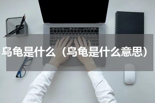 乌龟是什么（乌龟是什么意思）