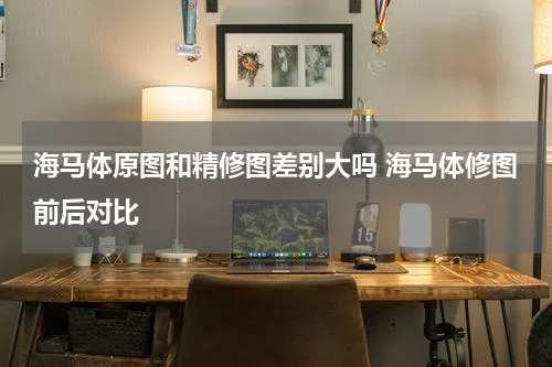 海马体原图和精修图差别大吗 海马体修图前后对比