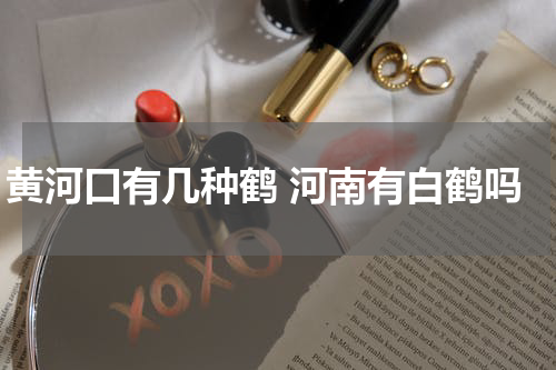 黄河口有几种鹤 河南有白鹤吗