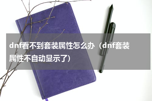 dnf看不到套装属性怎么办（dnf套装属性不自动显示了）