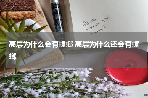 高层为什么会有蟑螂 高层为什么还会有蟑螂