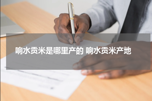 响水贡米是哪里产的 响水贡米产地