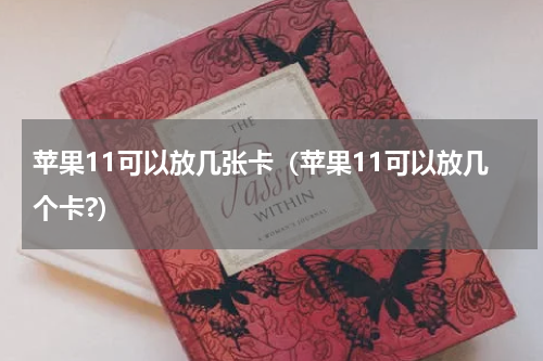 苹果11可以放几张卡（苹果11可以放几个卡?）