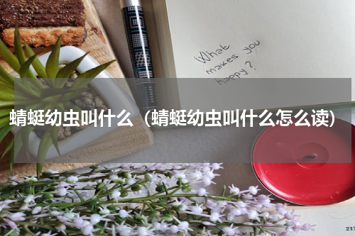 蜻蜓幼虫叫什么（蜻蜓幼虫叫什么怎么读）
