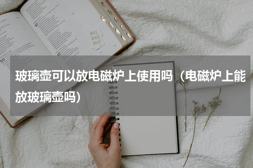 玻璃壶可以放电磁炉上使用吗（电磁炉上能放玻璃壶吗）