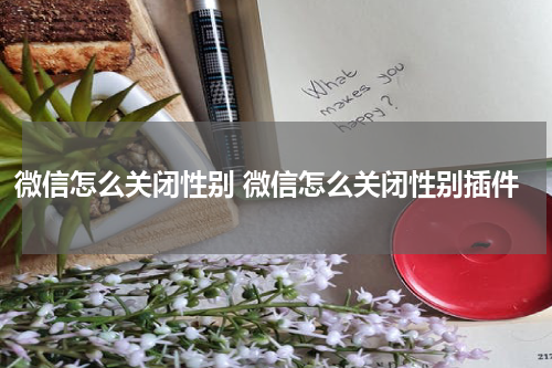 微信怎么关闭性别 微信怎么关闭性别插件