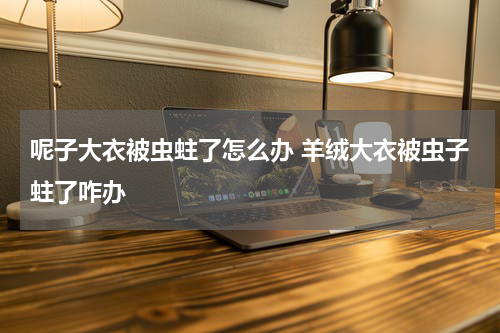 呢子大衣被虫蛀了怎么办 羊绒大衣被虫子蛀了咋办